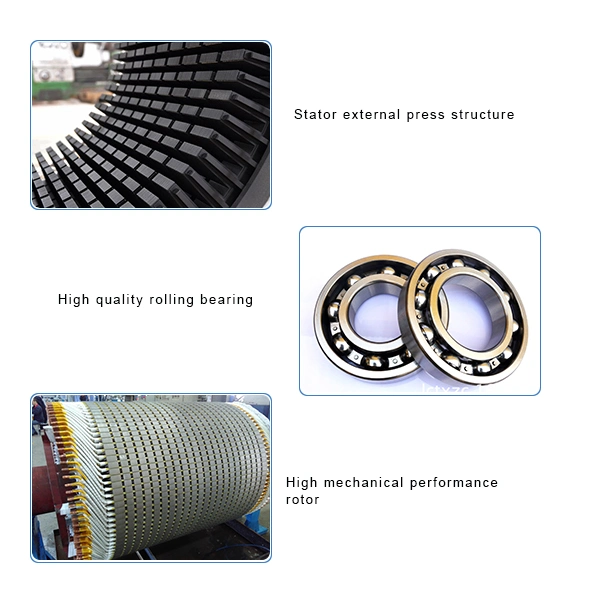 Winding Slip Ring High Voltage Motor