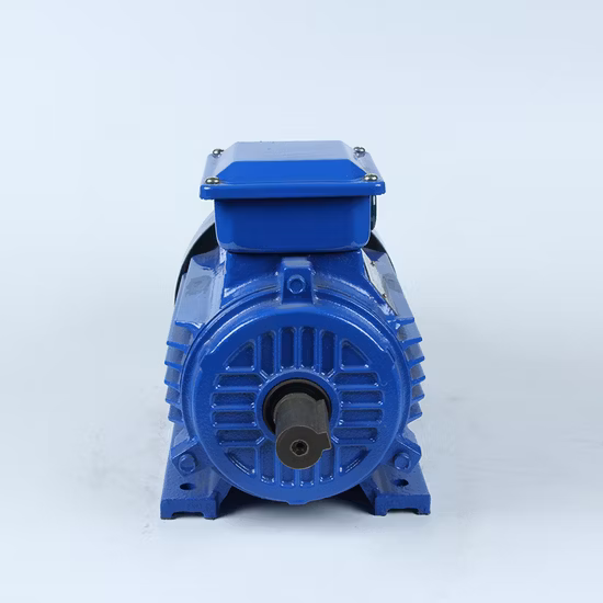 Motore elettrico asincrono CA trifase serie YE2 per pompa acqua