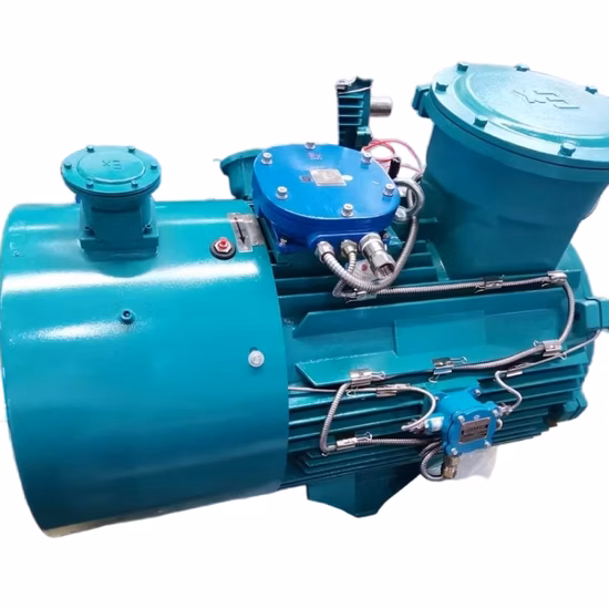 Motore elettrico CA trifase ad alta efficienza standard IEC 50 Hz/60 Hz alta/bassa tensione