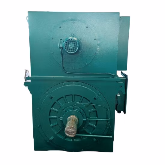 Motore elettrico AC 3kv/6kv/10kv Motore elettrico ad alta tensione trifase